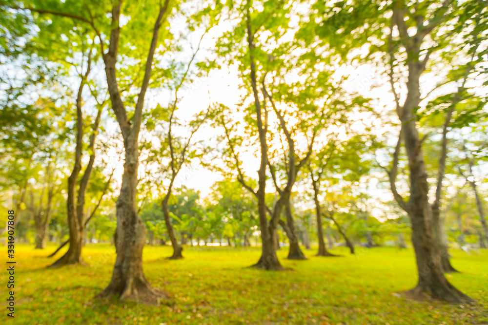 Abstract blur tree in natural park background