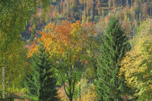 Schönes Bayern im Herbst