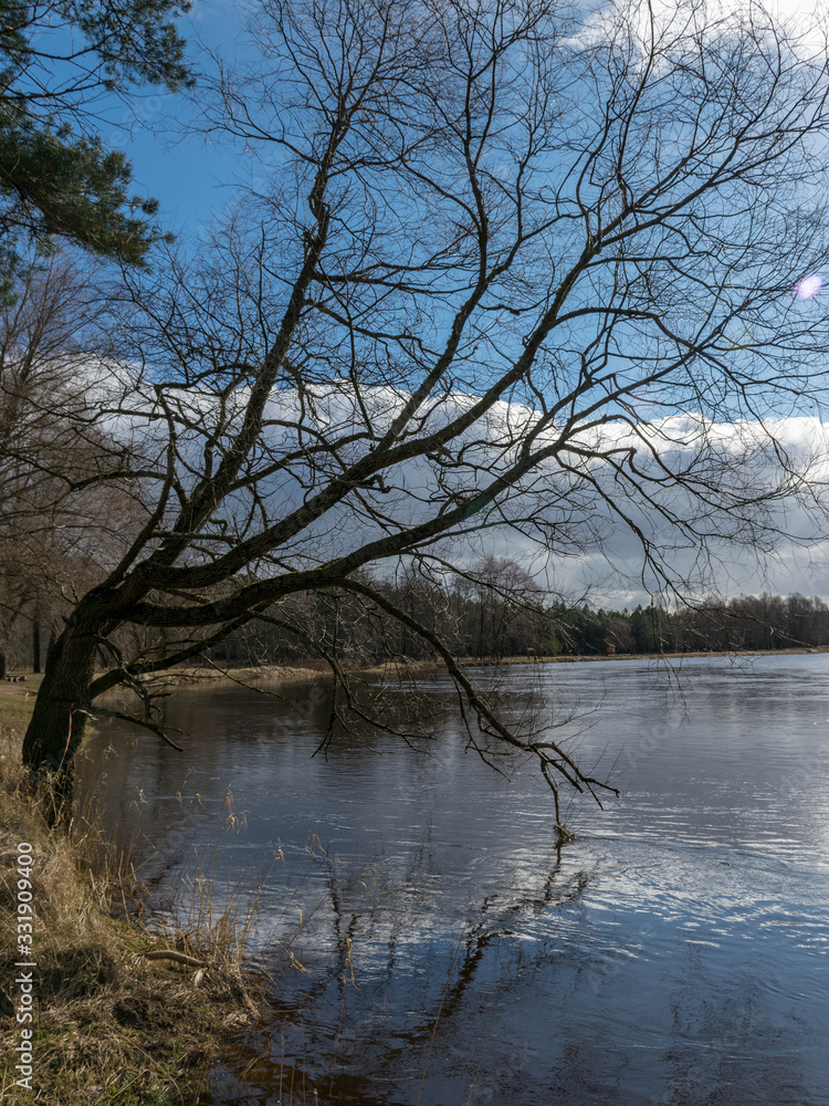 beautiful sunny landscape with river beautiful sunny landscape with river