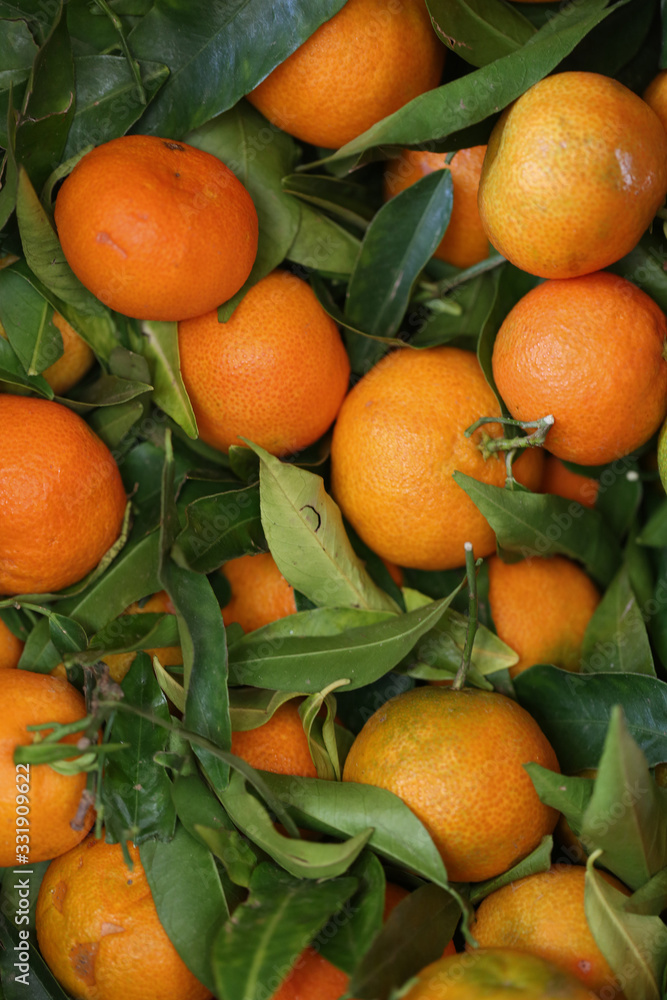 Сlose-up mandarins. the large fruits of citrus and green leaves. Can be used as space for your text or image. Food background.