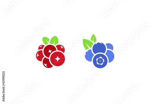 Fresh berries. Isolated cranberry and blueberry on white background
