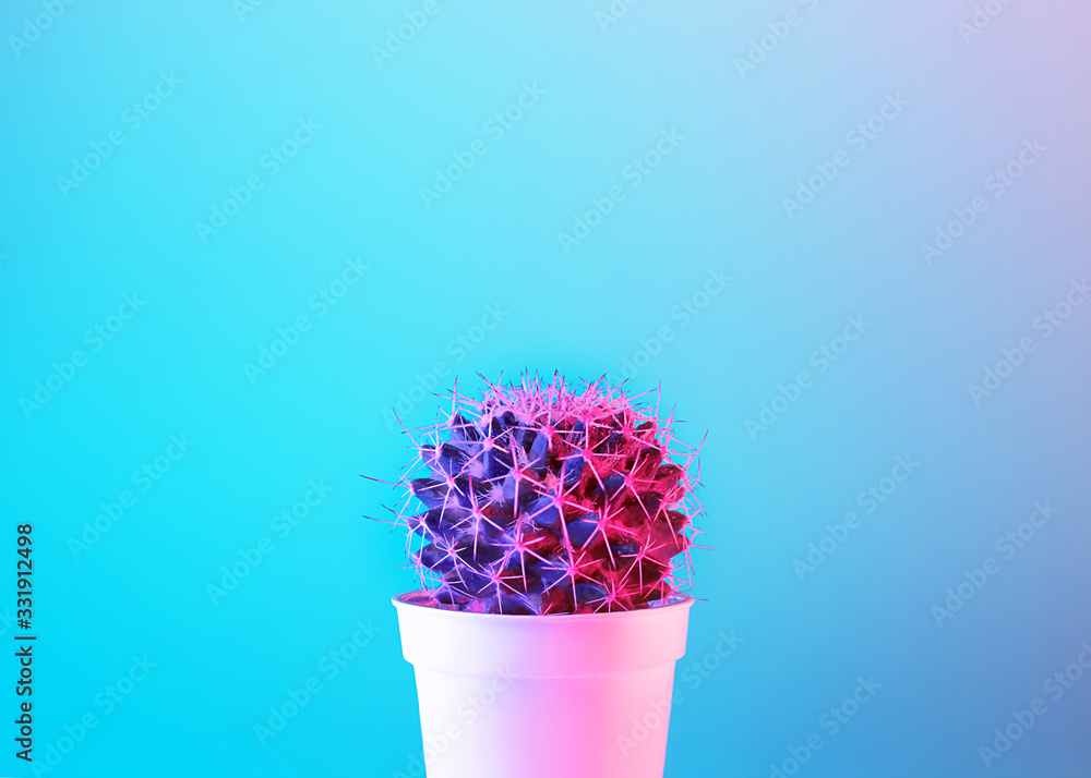 Creative neon background with cactus. Multicolor abstract backdrop with vibrant gradients. Exotic plants with pink and blue vivid colors. Thorns with beautiful illumination