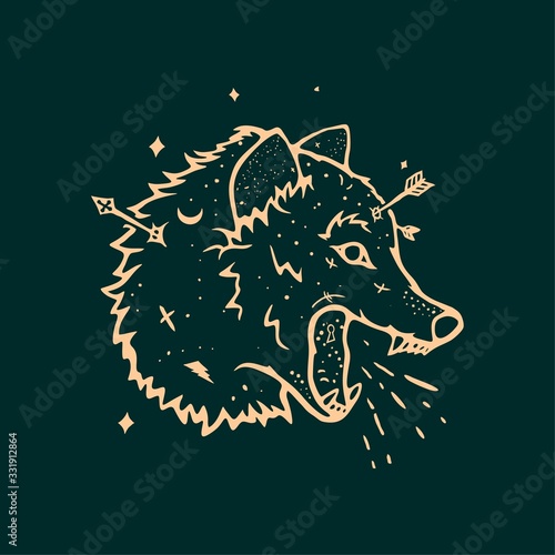 sorcery wolf background illustration