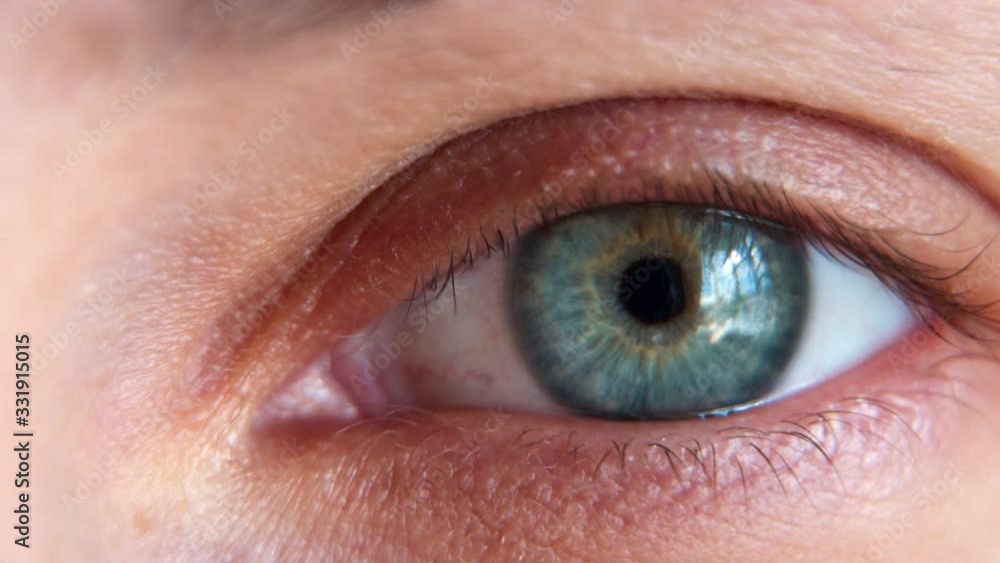 Close up macro eye beautiful blue iris natural beauty Close up macro eye beautiful blue iris natural beauty