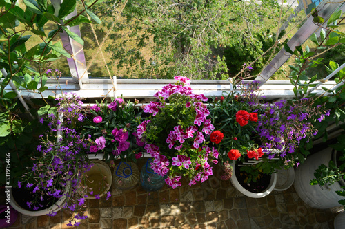 Top view on beautiful garden on the balcony with flowering plants in container and pots.