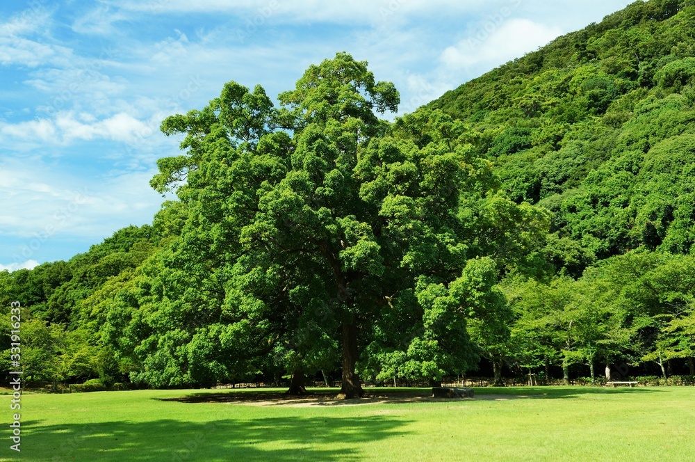 栗林公園（香川県高松市）