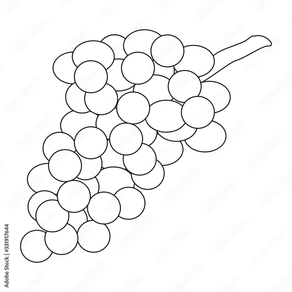 Grapes Line Art Clip Art