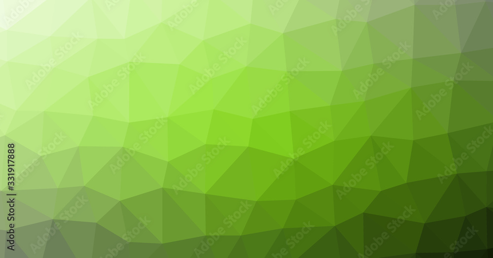 Fototapeta premium Low Polygonal Computation Art background illustration