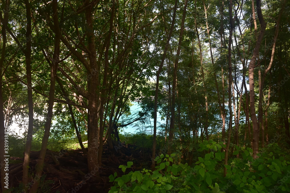 Obraz premium f noronha