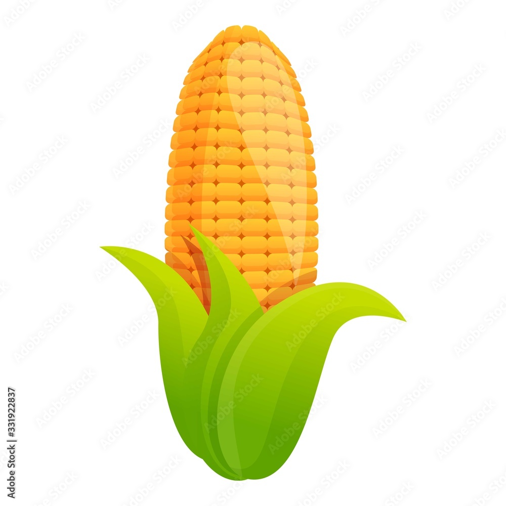 Obraz premium Corn plant icon. Cartoon of corn plant vector icon for web design isolated on white background