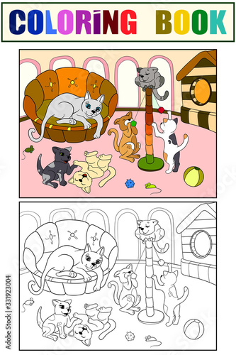 Childrens color and coloring book cartoon family on nature. Mom cat and kittens children