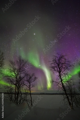 Northern lights in the night sky with winter landscape in Lapland Finland © Ben T.