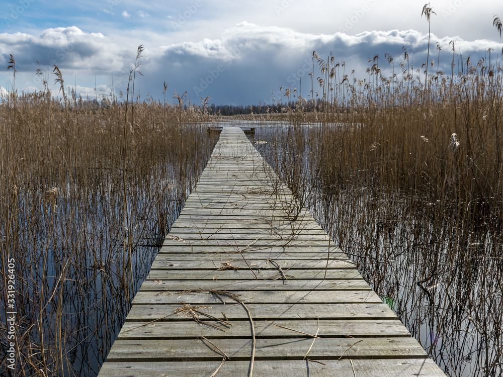 Fototapeta premium abstract wallpaper with wooden boardwalk