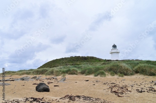 sea lion in front of a white lighthouse in new zealand photo