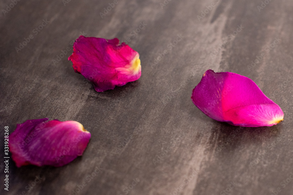 Three dried rose petals on a dark surface. selective focus. Background Three dried rose petals on a dark surface. selective focus. Background