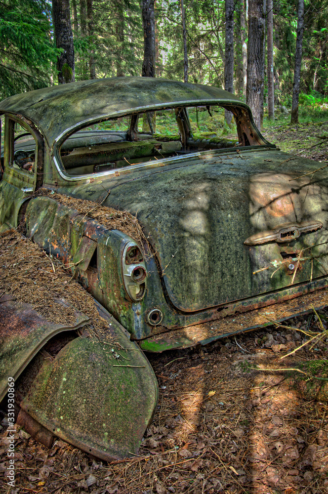 trunk of abandoned chevrolet in forest