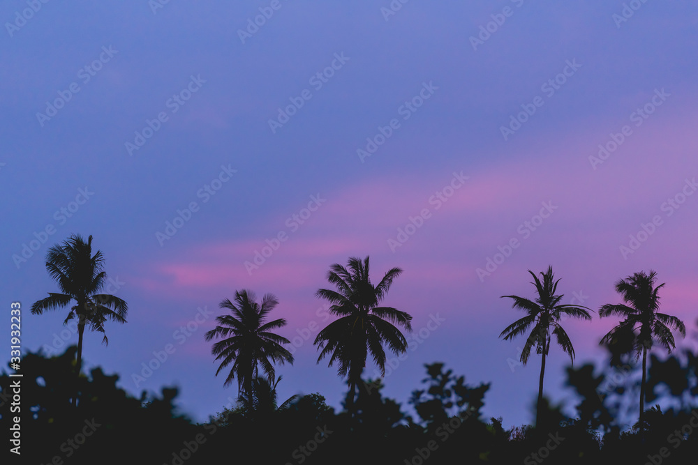 Silhouette coconut tree on twilight sunrise sky background . 