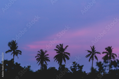 Silhouette coconut tree on twilight sunrise sky background . 
