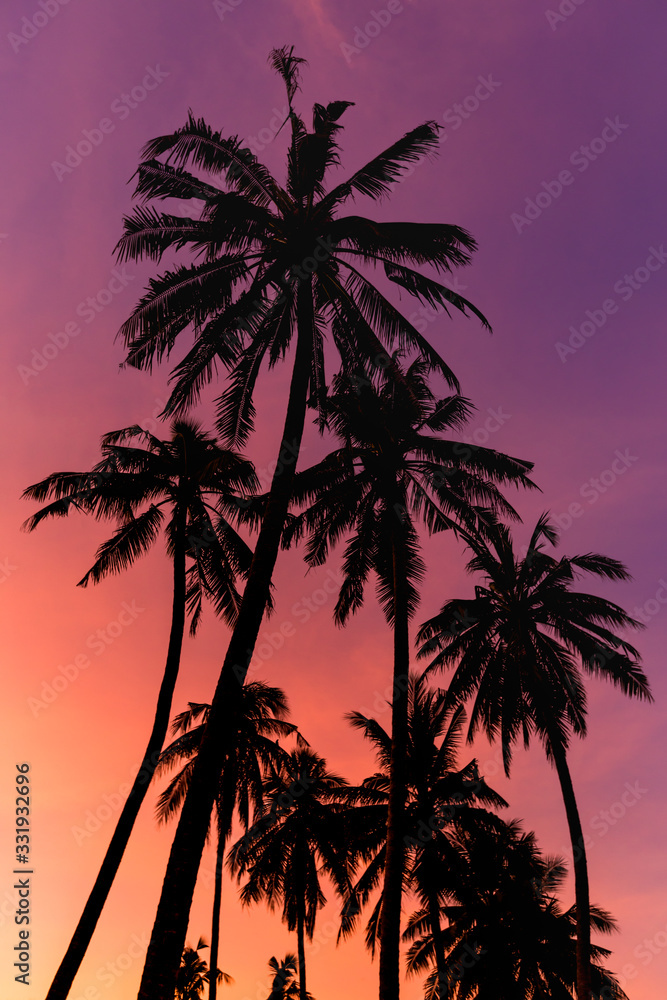 Fototapeta premium Silhouette coconut tree on sunset sky background