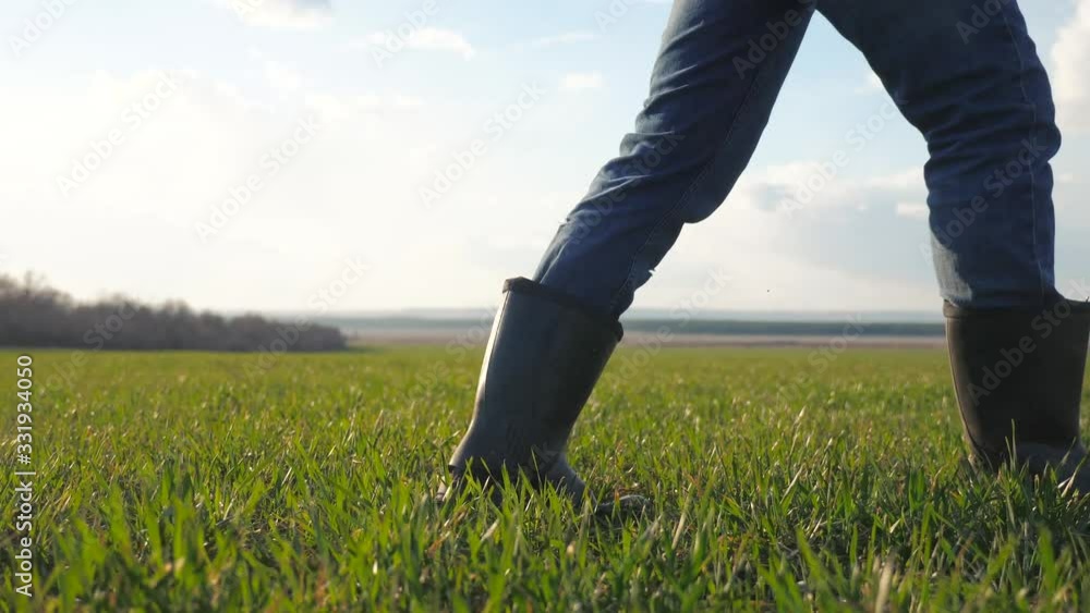 man farmer lifestyle a red neck feet in rubber boots in cap is walking on a green field bottom view. spring harvest agriculture concept. male working feet walks on winter wheat green inspects the crop man farmer lifestyle a red neck feet in rubber boots in cap is walking on a green field bottom view. spring harvest agriculture concept. male working feet walks on winter wheat green inspects the crop
