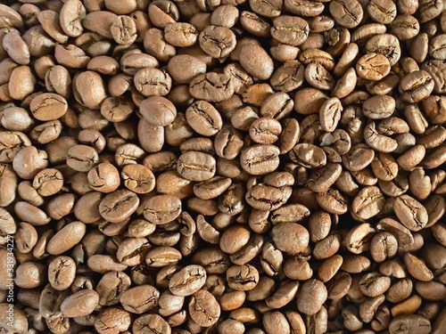 Coffee beans from coffee plantation in Costa Rica, Central America