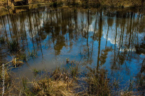 Beautiful lake. Trees are reflected in the water. Lake in a beautiful forest. Background.