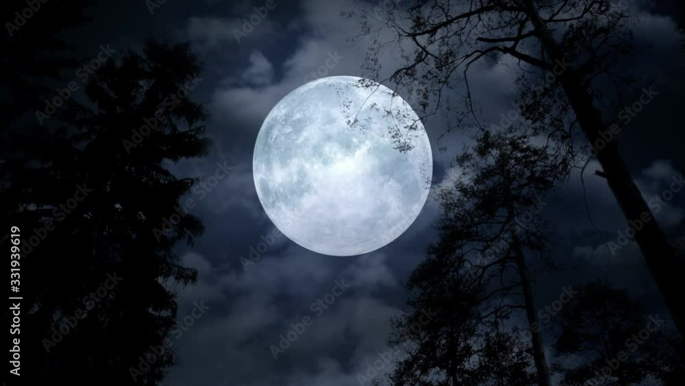 Centered full moon behind tree branches on cloudy night. Overhead giant moon shining on silhouettes of trees during a walk. Centered full moon behind tree branches on cloudy night. Overhead giant moon shining on silhouettes of trees during a walk.