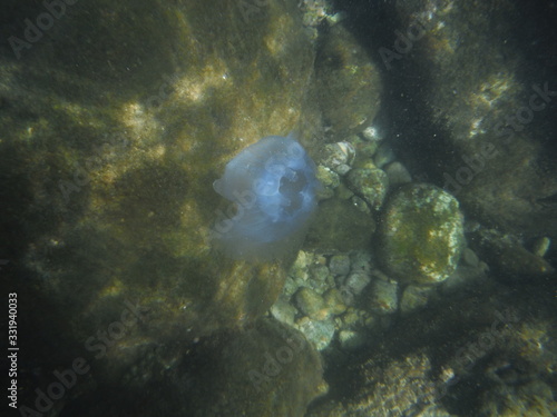 Snorkeling in Cham Islands Vietnam