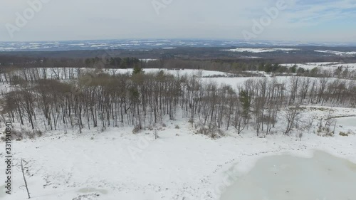 Wallpaper Mural aerial view of forest in winter Torontodigital.ca