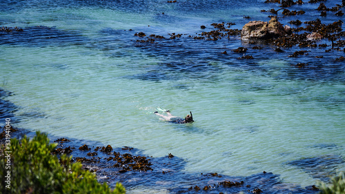 South Africa boulder beach ocean snorkeling tourist