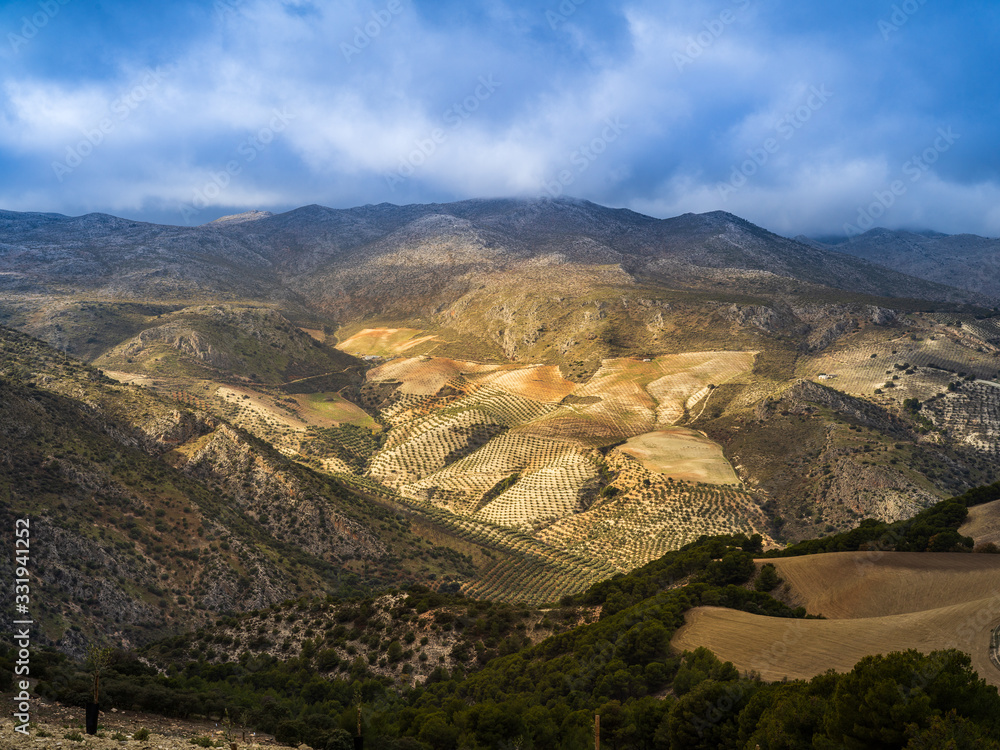 Obraz premium Dramatic landscape with endless olive gardens near Granada in Spain