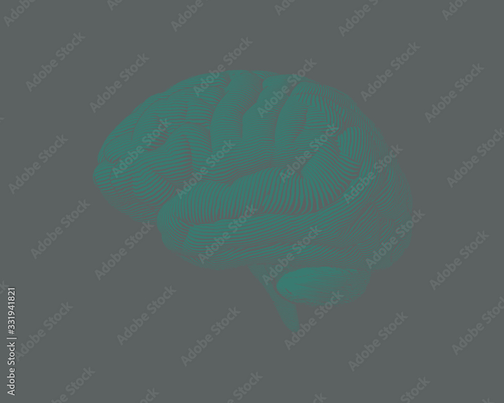 Green engraving brain illustration on gray BG Green engraving brain illustration on gray BG