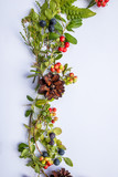 decoration of berries and cones