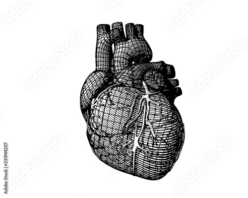 Monochrome stylized wireframe human heart illustration