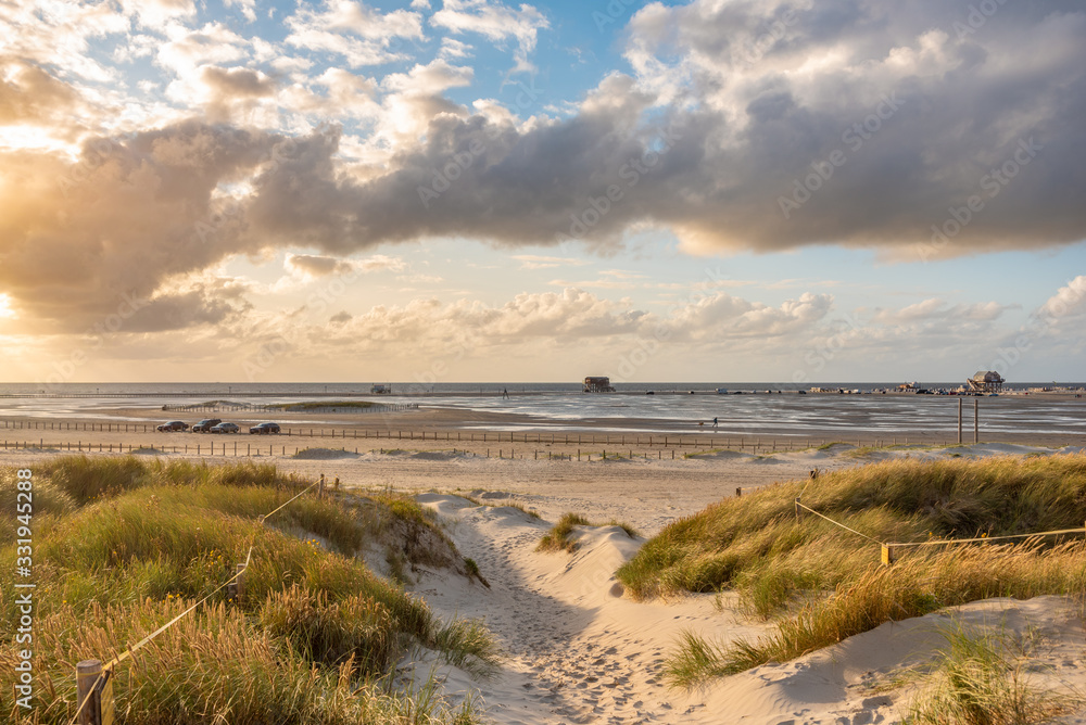 Dune landscape on the beach of St Peter-Ording