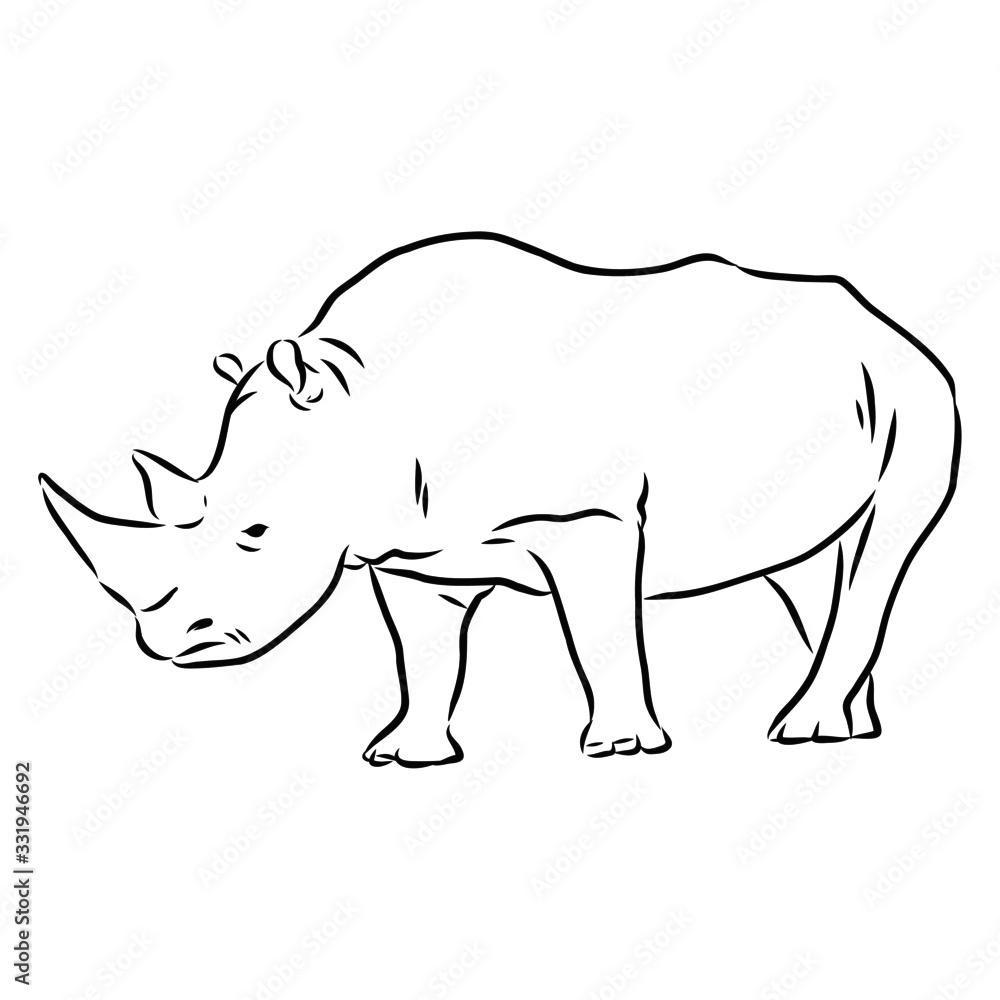 Fototapeta premium illustration of rhinoceros, sketch 