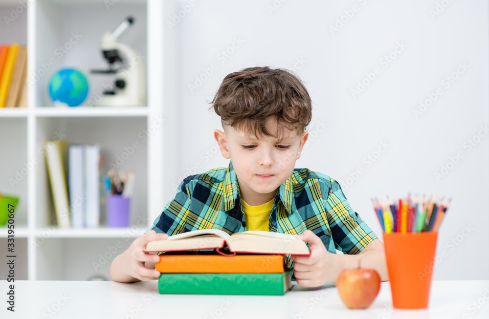 Young boy reads the book at home Young boy reads the book at home