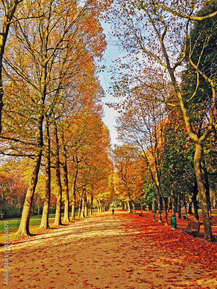 Park in Brussels, Belgium