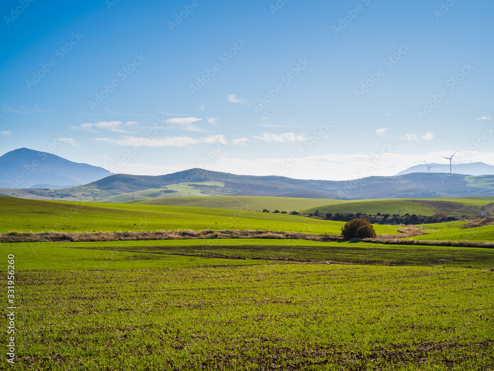 Beautiful landscape with green fields and mountains in Andalusia, Spain