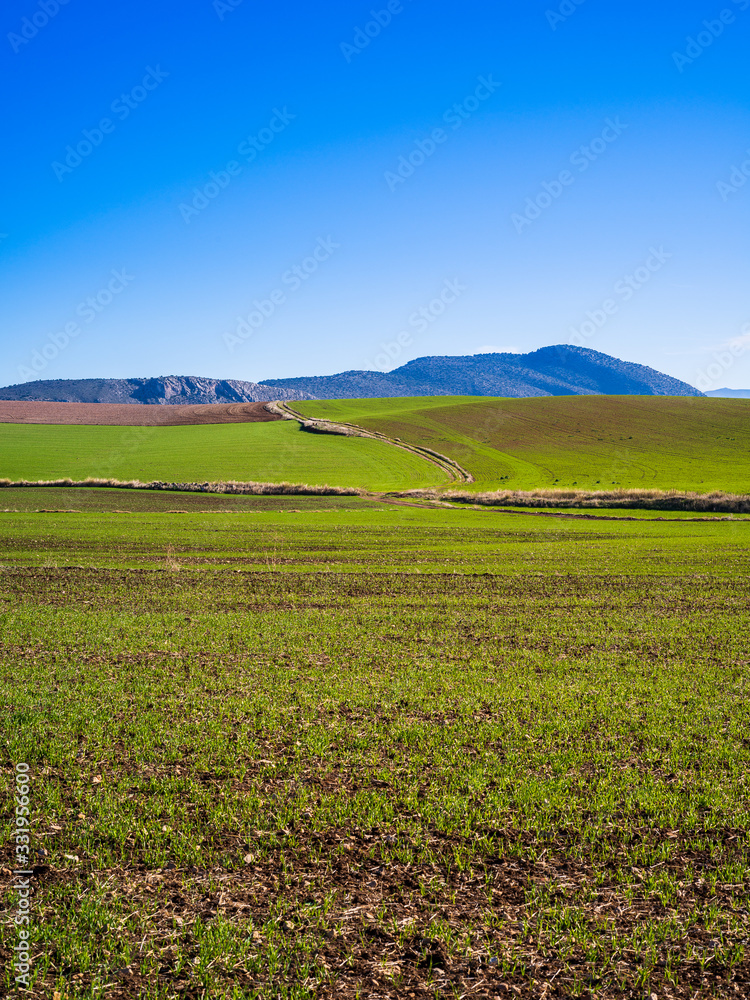 Beautiful landscape with green fields and mountains in Andalusia, Spain