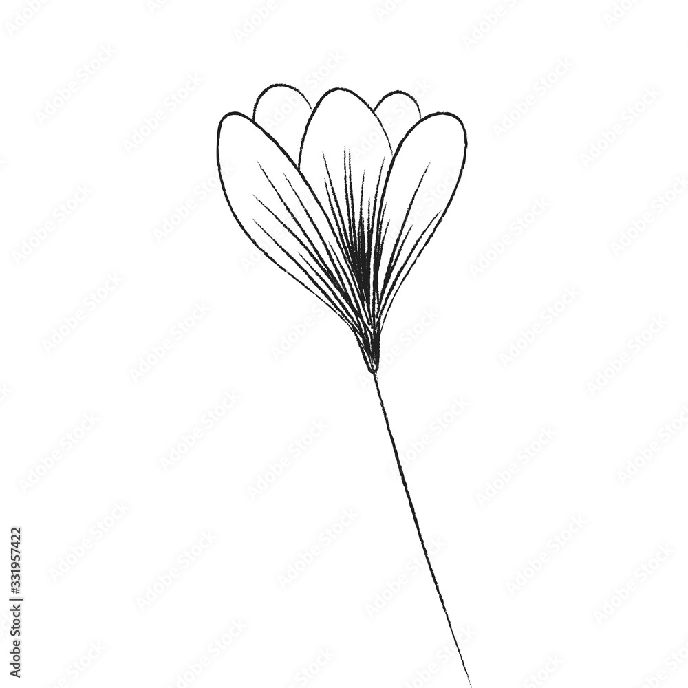 Spring flower. Hand drawn doodle element. - vector Spring flower. Hand drawn doodle element. - vector