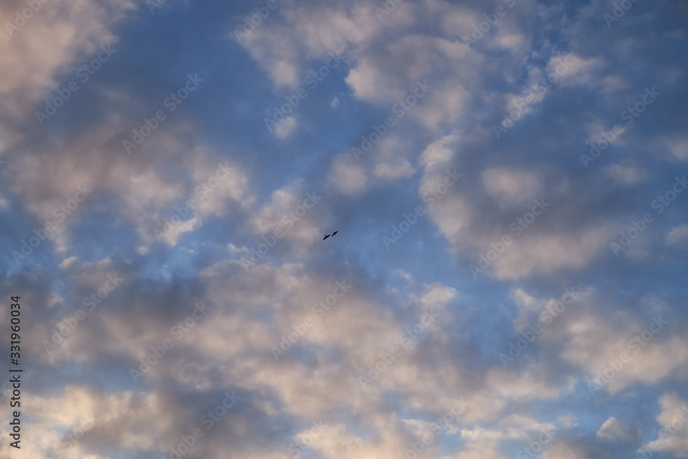 Sky background on sunset. Nature abstract composition