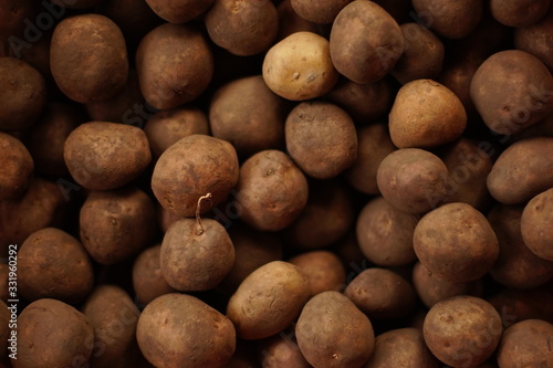 Background brown potatoes for seedlings in a peel