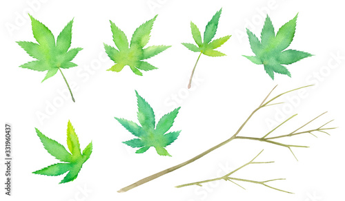 新緑のモミジのパーツ、葉と枝の水彩イラストのトレースベクター