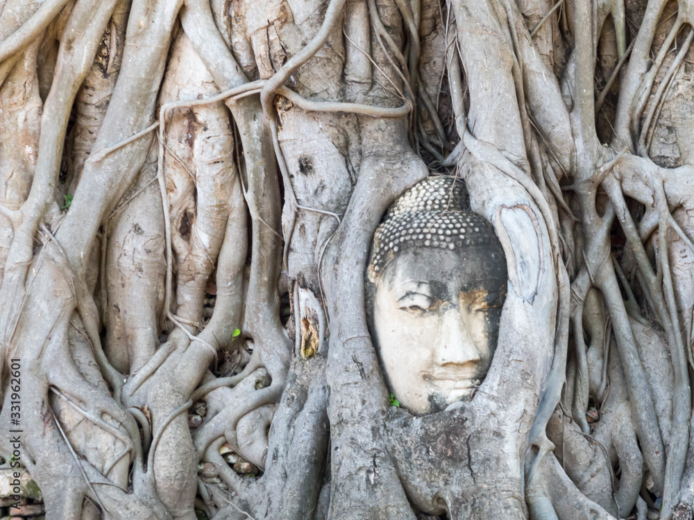 Ayutthaya Buddha Head statue with trapped in Bodhi Tree roots at Wat Maha That. Ayutthaya Buddha Head statue with trapped in Bodhi Tree roots at Wat Maha That.