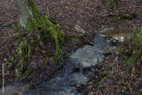 Beautiful creek in the forest. Fairy Stream. Background.