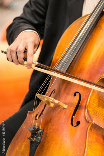 string musical instrument, viola - large violin, close up. Vertical frame