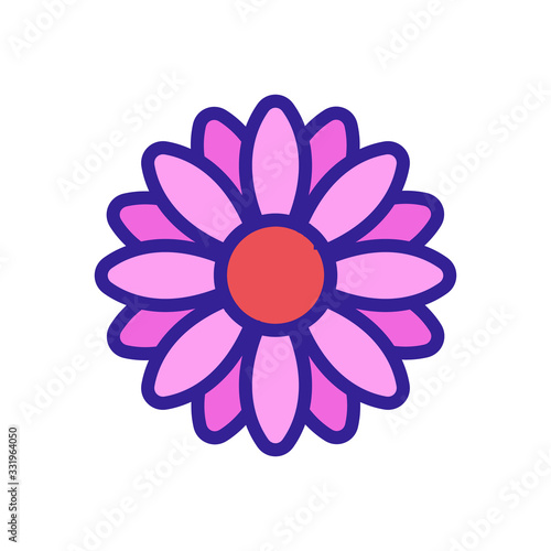 bright chrysanthemum icon vector. bright chrysanthemum sign. color isolated symbol illustration
