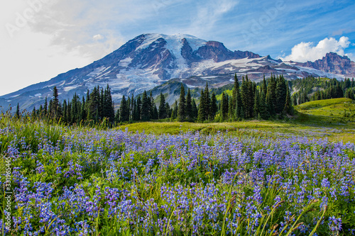 Summer in Paradise area, Mount Rainier, Washington st © khomlyak