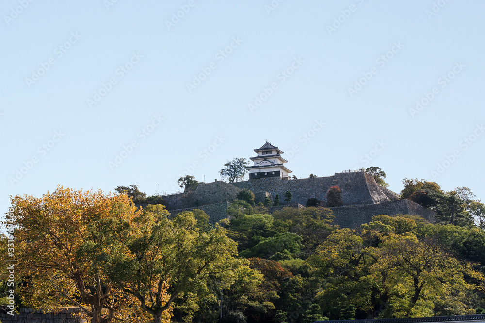  	秋の丸亀城の風景